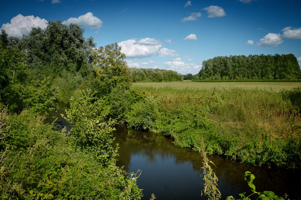 Langs de Geul Camping ´t Geuldal (6).jpg